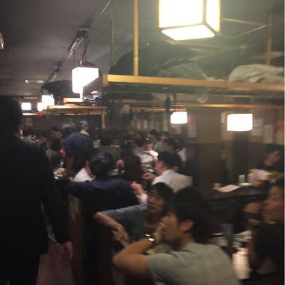 激安居酒屋『めだか』経由 新宿ゴールデン街 |