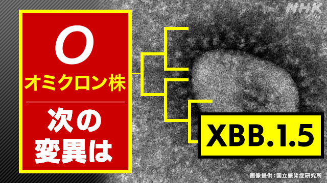 新型コロナウイルス感染症【緊急事態措置】 | 東峰村役場ホームぺージ