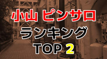 小山の風俗求人｜高収入バイトなら【ココア求人】で検索！