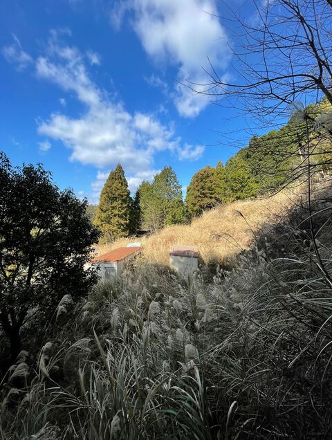 色恋（宇和島）（宇和島デリヘル）｜アンダーナビ