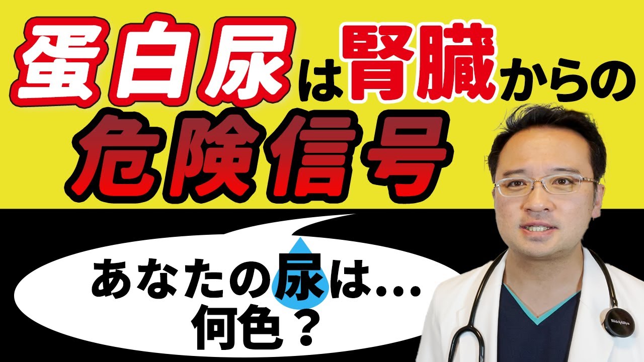 尿蛋白陽性と言われたら―蛋白尿の基準値や原因とは― | 市川駅前本田内科クリニック