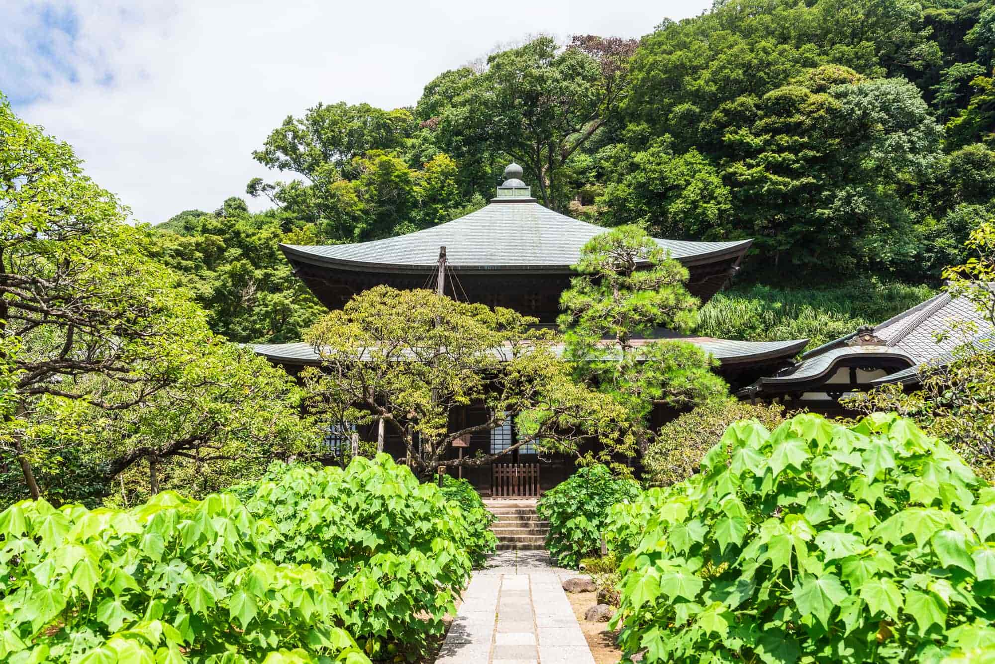 随泉寺 一休庵 - 川口元郷/カフェ |