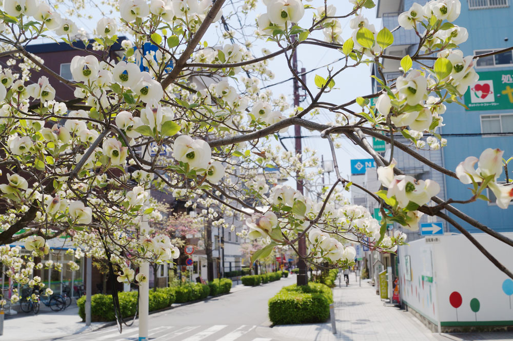 気軽な手もみ屋もみかる 島田花みずき通り店｜静岡県島田市