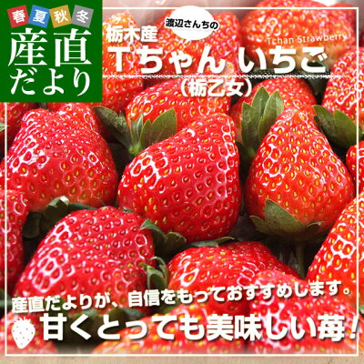 お試し商品】いちご農園の冷凍いちご 家庭用 希少な南信州産100％