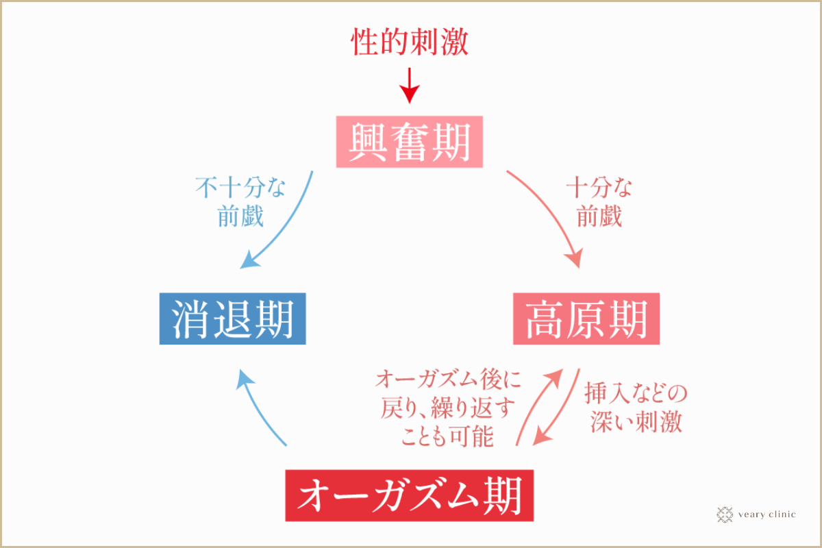 女性が感じる仕組みとは？オーガズムとスキーン腺の関係について解説 | コラム一覧｜