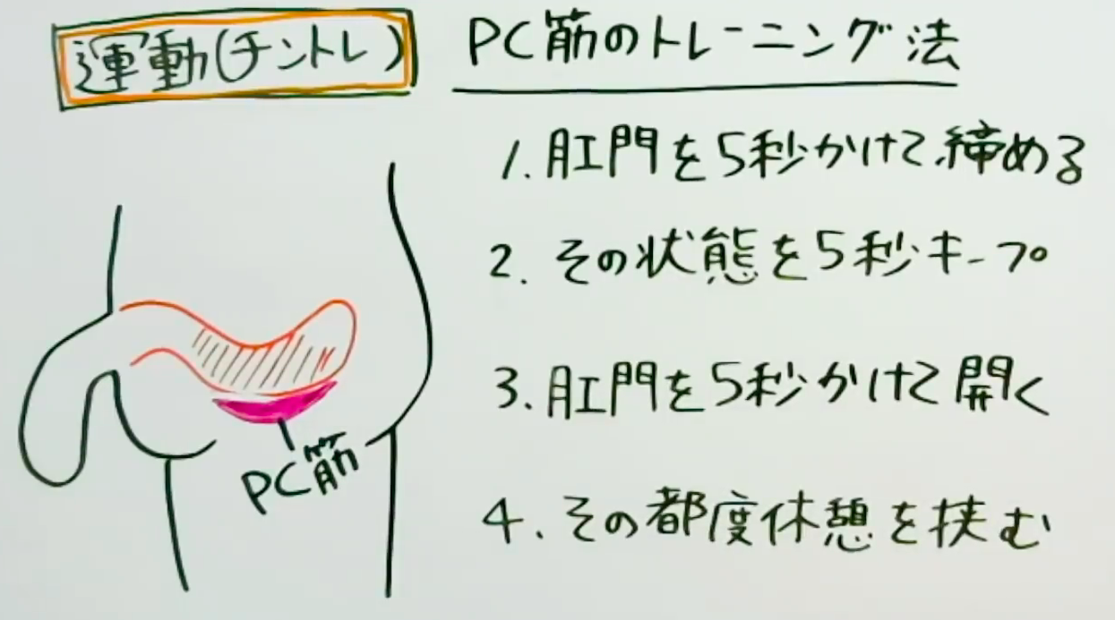 ペニスは大きくできる？できない？増大法の真実を学術的な根拠を元に解説 | ナイトプロテインPLUS