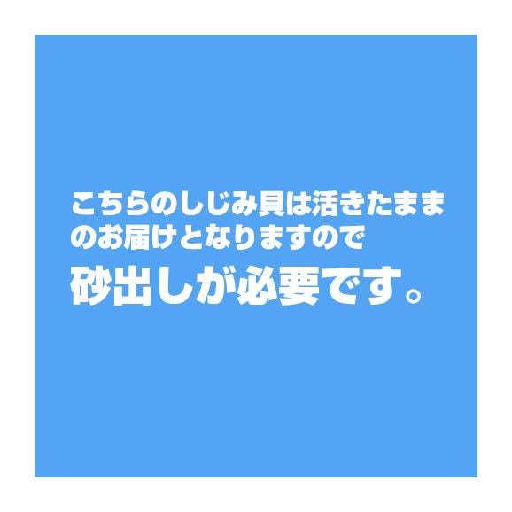 口コミ一覧 : 新時代