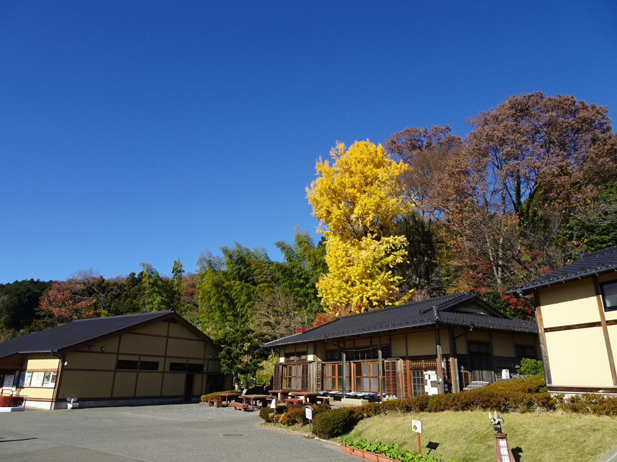 津久井湖周辺に近いおすすめホテル・旅館 【Yahoo!トラベル】