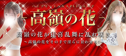 大宮のエステ、ほぼ全ての店を掲載！｜口コミ風俗情報局