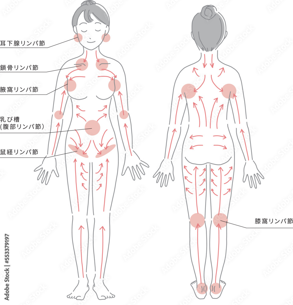 リンパマッサージに期待できる「４つの効果」と「部位別のやり方」 | Precious.jp（プレシャス）