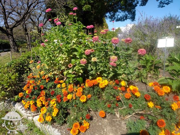 名古屋の花屋 ゴールデンチャイルドガーデン（全国配送対応）