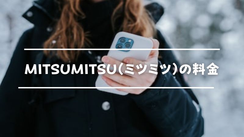 mitsumitsu(ミツミツ)とは？評判や特徴、料金や使い方などをご紹介！ | infotop column