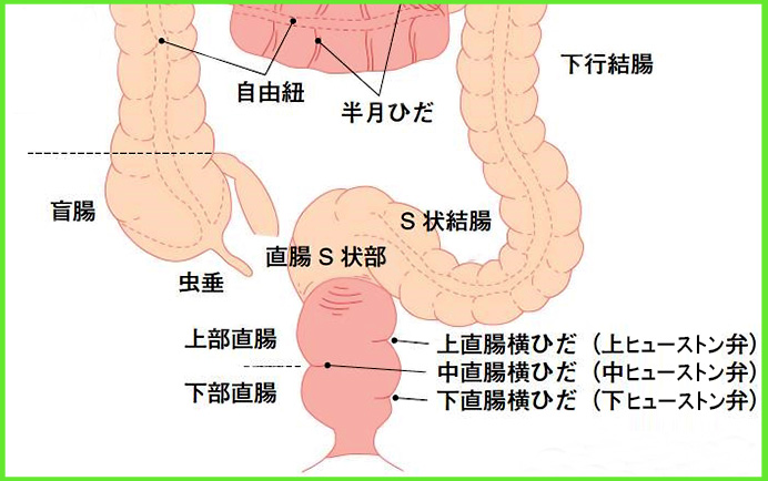 好きすぎる！甘S攻め特集｜無料漫画じっくり試し読み - まんが王国