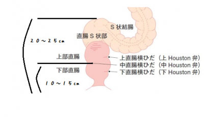 ドS攻め | 光文社 BL