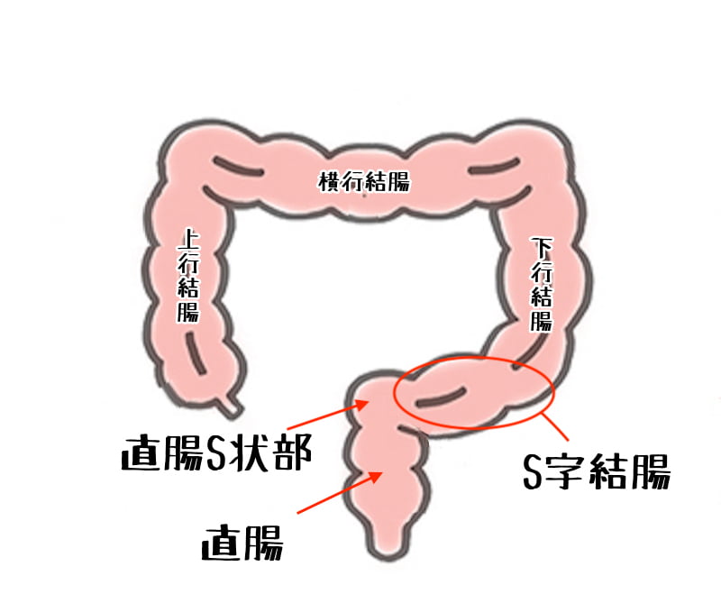 腐男子課長は溺愛系 ※ただし夜はドS攻め 3巻 通販｜セブンネットショッピング