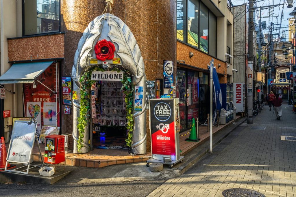 Shops in Akihabara: The